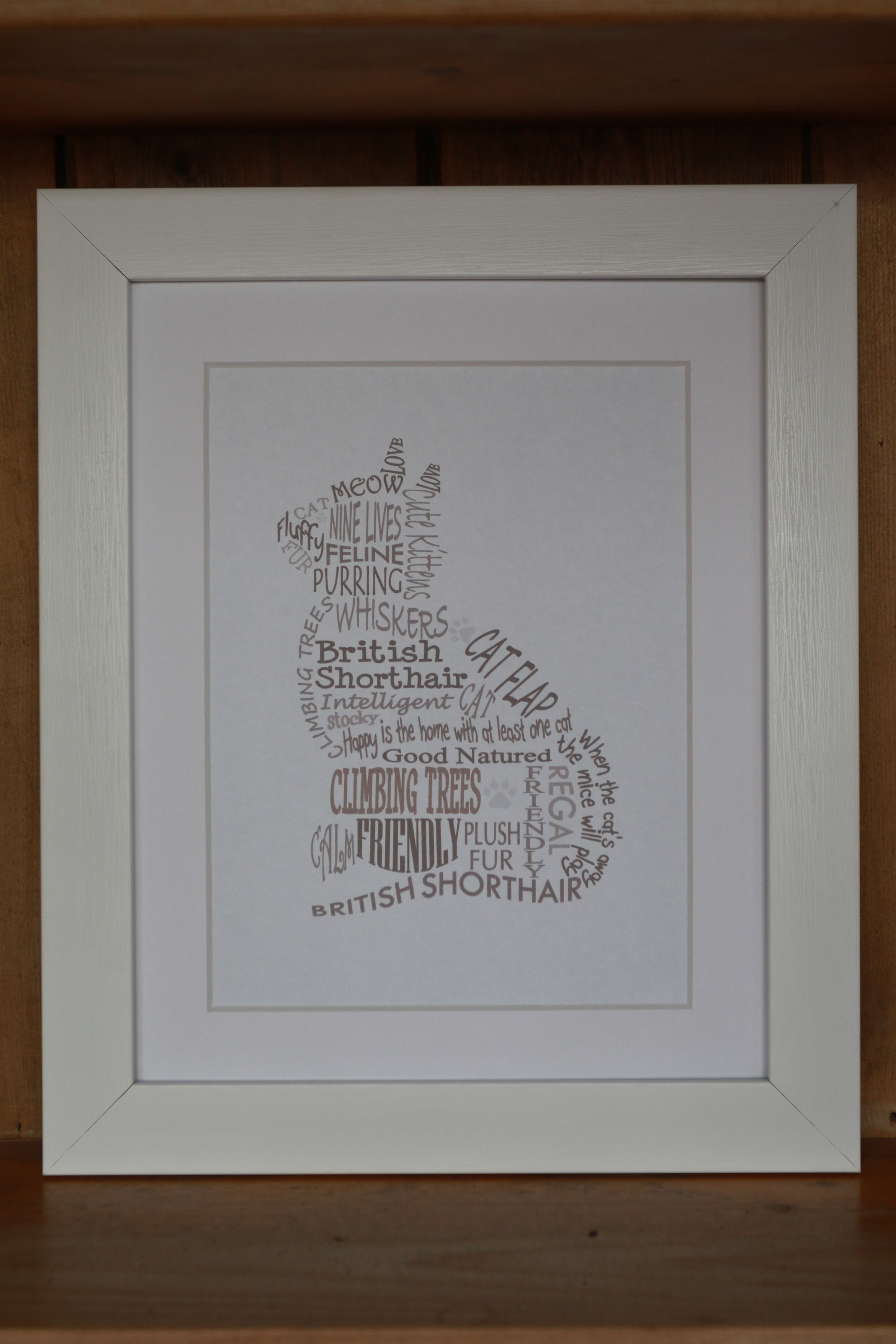 British Shorthair Cat