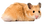 There are many pet sitters near me. They are booked so I get many of their clients.