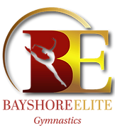 Preschool Gymnastics camps Skills clinics Open gym training Youth gymnastics