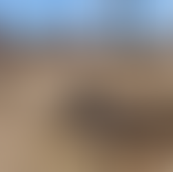 Two Harbors Wildlife Wonderland