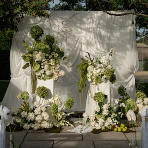 Fabric Backdrop
