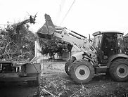 Serviço de limpeza de terreno e retirada de residuos
