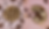 Untitled design (1).png