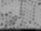 Alpha Nanotech Silica Nanoparticles 1000nm