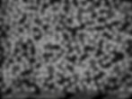 Miniatura: Microsfere magnetiche di silice
