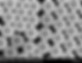 Alpha Nanotech Silica Nanoparticles 1000nm