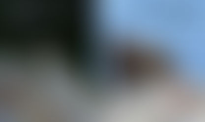 The Pika and the Marmot