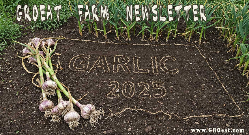 groeat-farm-newsletter-state-of-montana-folgert.jpg
