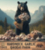 Black Bear Holding Hardneck Garlic groeat farm montana