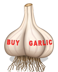 health benefit, sauteing, oil, health, tonic, authentic, taste, tuscan, professional, chef, homegrown, earth, greatest, health tonic, naked, sexy, garlic aphrodisiac, hot, lick