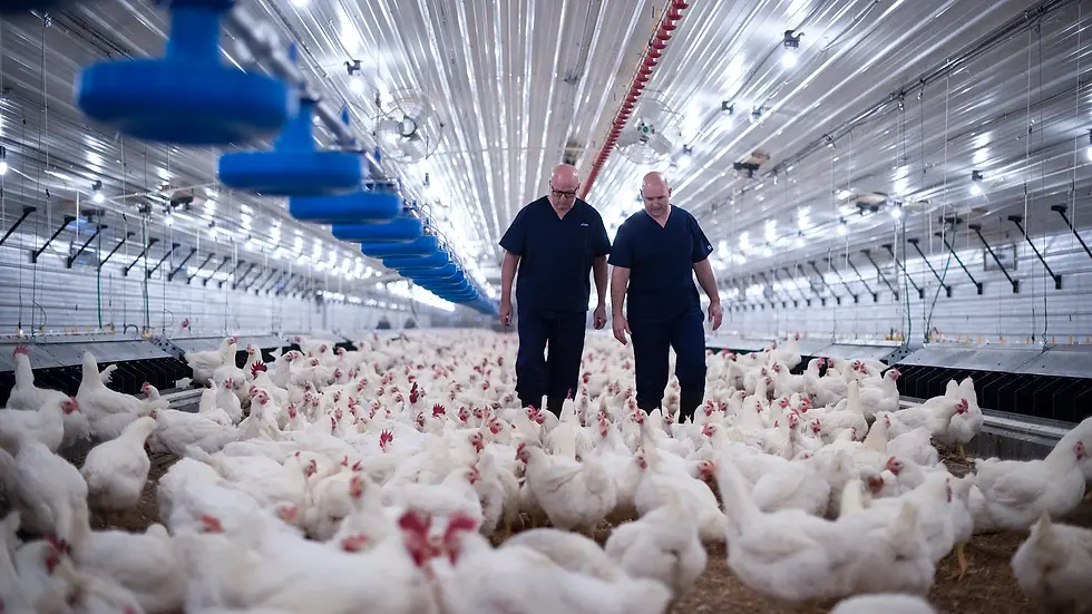 Breeding a sustainable future: Balanced genetic selection optimized with genomics