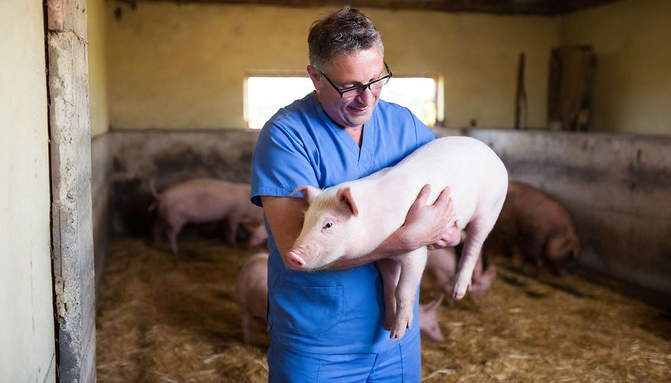 Swine farm biosecurity