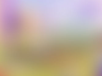 Make this a strategic initiative and part of a company's overall culture