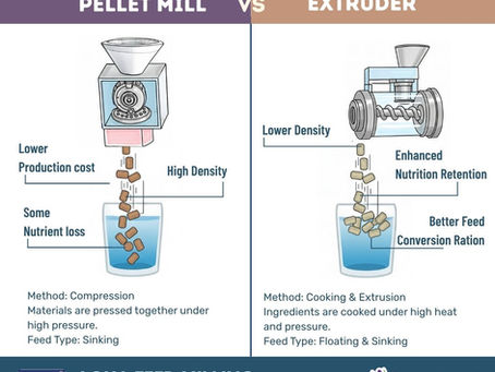 Pellet Mill vs. Extrusion in Fish Feed Production: What Should You Choose?
