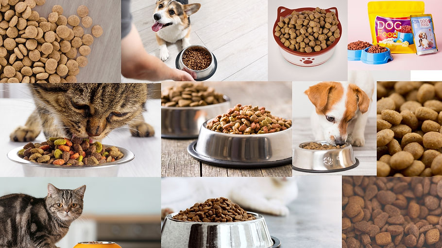 Pet_2026.jpg