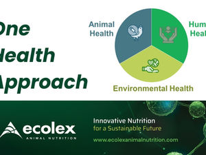 One Health In Animal Agriculture—Integrated Disease Prevention