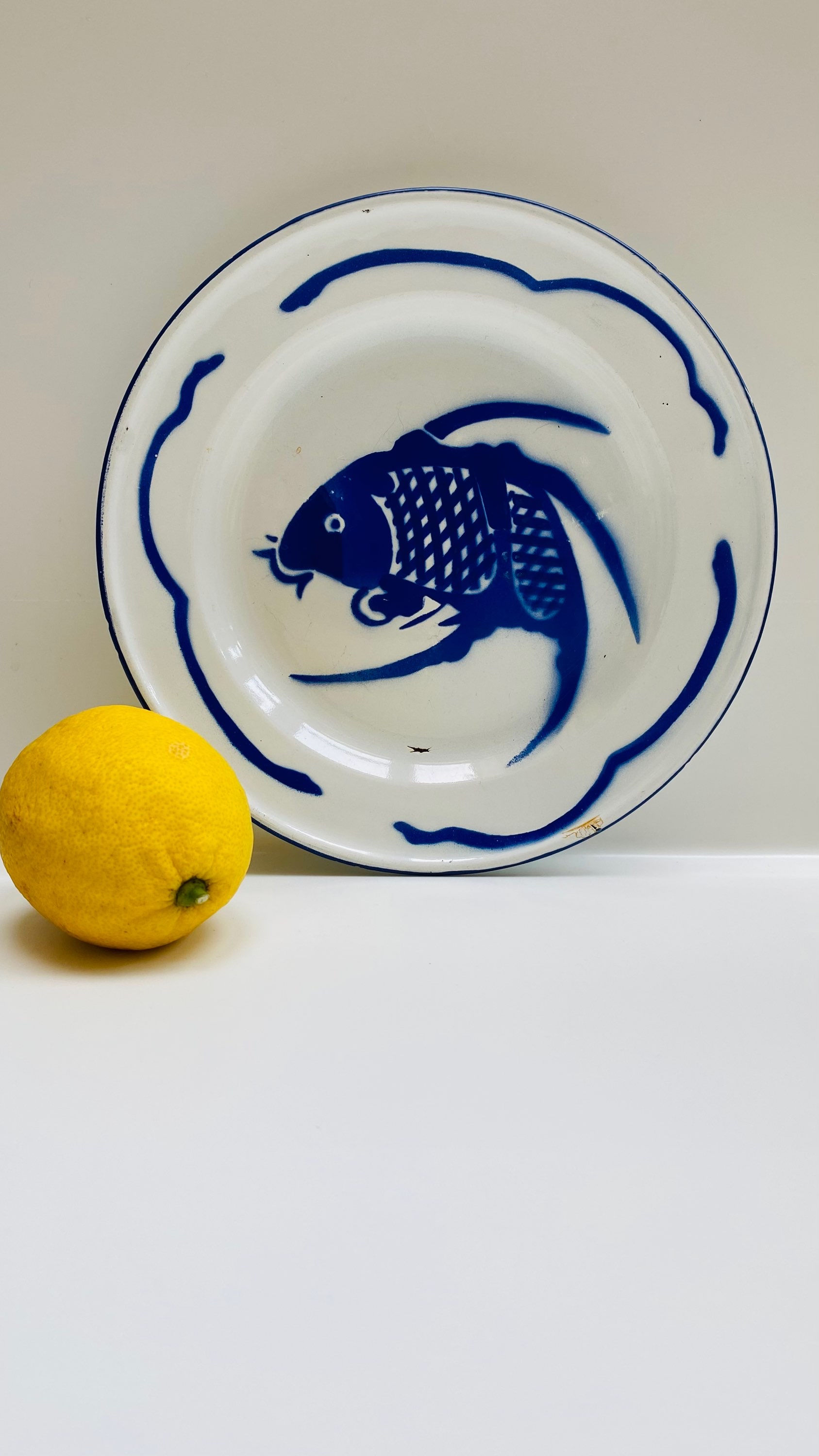 Enamel Blue Fish Plate