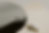 Close up image of skin serum by ZO
