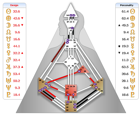 המפה ל נטע גולן העיצוב האנושי 