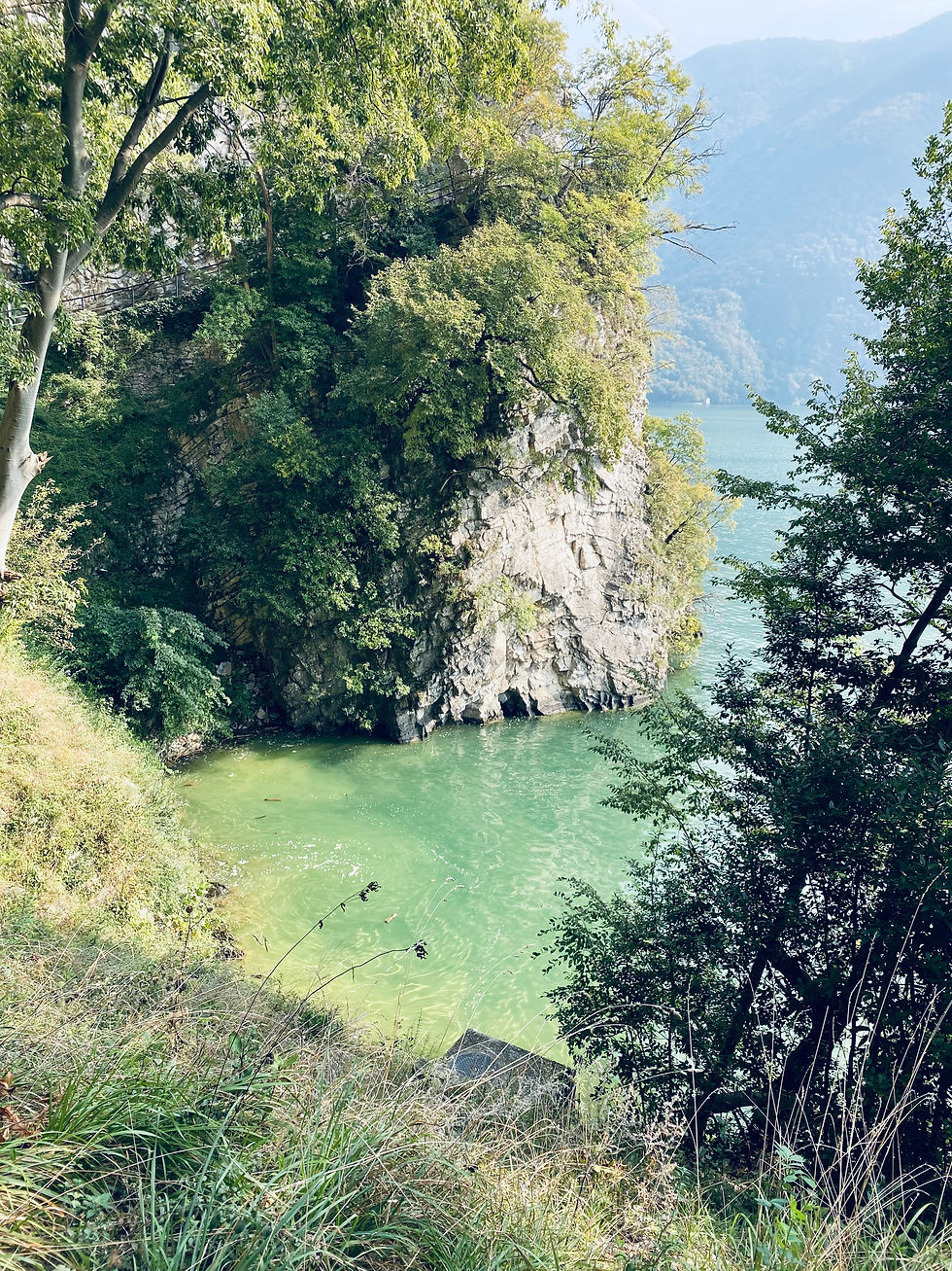IMG_2174