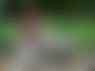 BIOGRAPHIE. Comment écrire son récit de vie avec une biographe ?