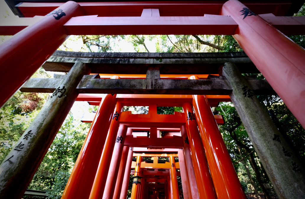 Fushimi Inari - Kyoto