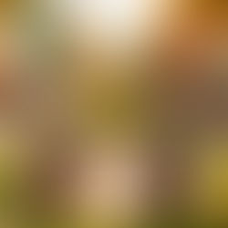 Living in International City Dubai offers a cost-effective gateway to the city’s dynamic lifestyle, paired with vibrant cultural exposure and convenient amenities.