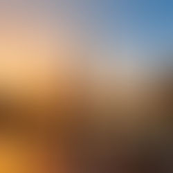 Dubai's winter season offers first-timers an extraordinary introduction to this futuristic city where traditional Arabian culture   meets cutting-edge innovation. With perfect weather, world-class events, and endless activities, winter provides the ideal conditions to explore everything from pristine beaches to towering skyscrapers, ancient souks to ultramodern malls. Just remember to book early, pack layers, dress modestly in public spaces, and prepare to be amazed by a city that truly has earned its "most-in-the-world" reputation.