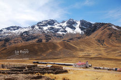 el treeeeeeeeeeennnnnnn