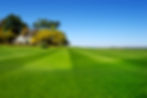 Perfectly manicured lawn
