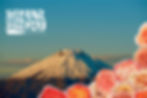 1310a2_d2adde878ea94e1a8534cf0832956e4d~mv2.png