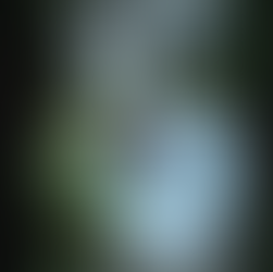 A delicate hand holds green flowers over an ornate mirror, reflecting a bright blue sky. Surrounded by cabbages, grapes, and greenery, the scene evokes a sense of mysticism and the deep connection between nature and enchantment.