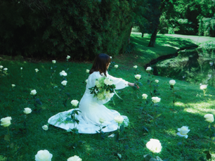 St. Patrick’s Floral Magic with Premium Green and White Flowers: Enchanting Designs Inspired by Nature