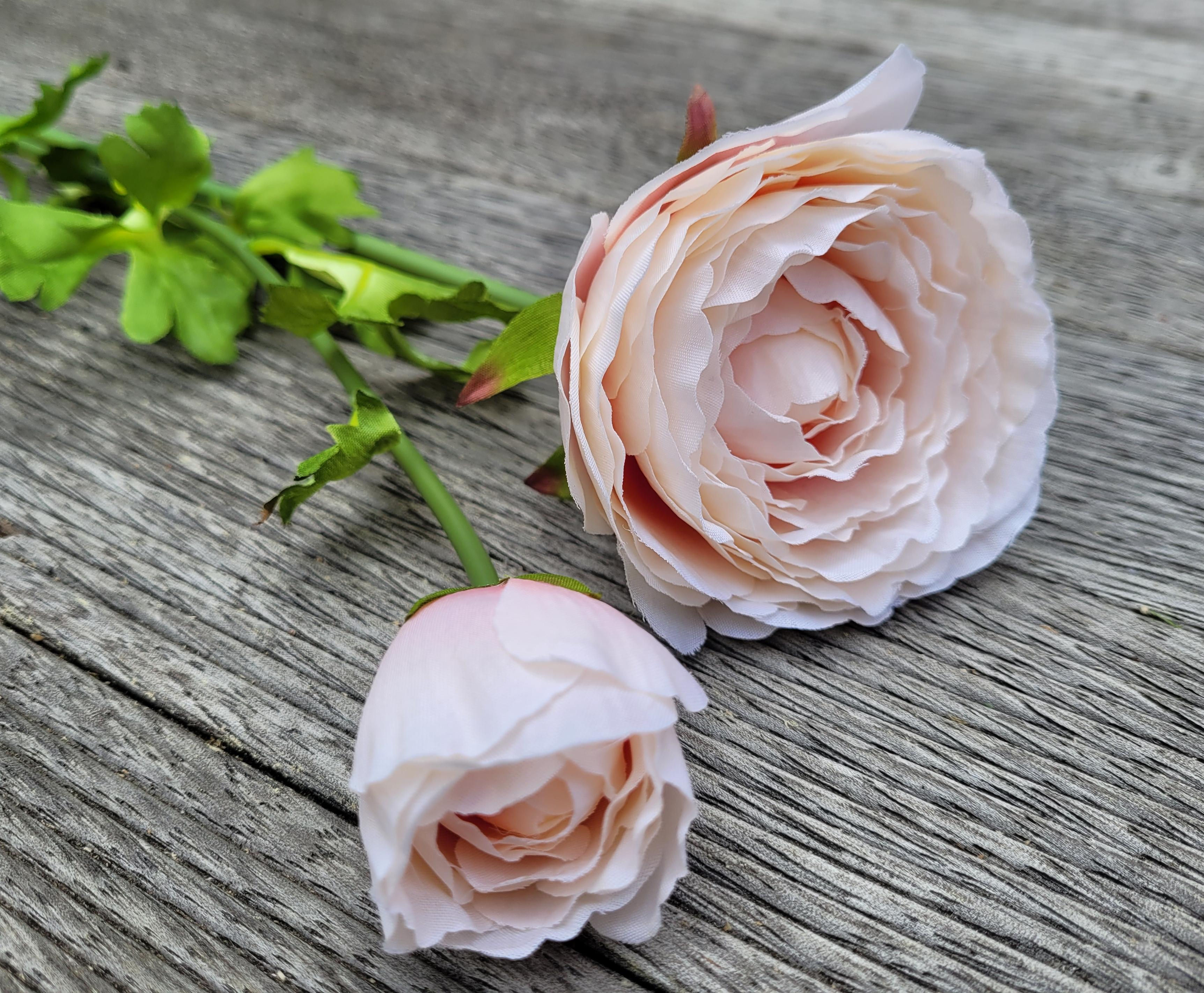 Pale Pink Ranunculus Stem F110