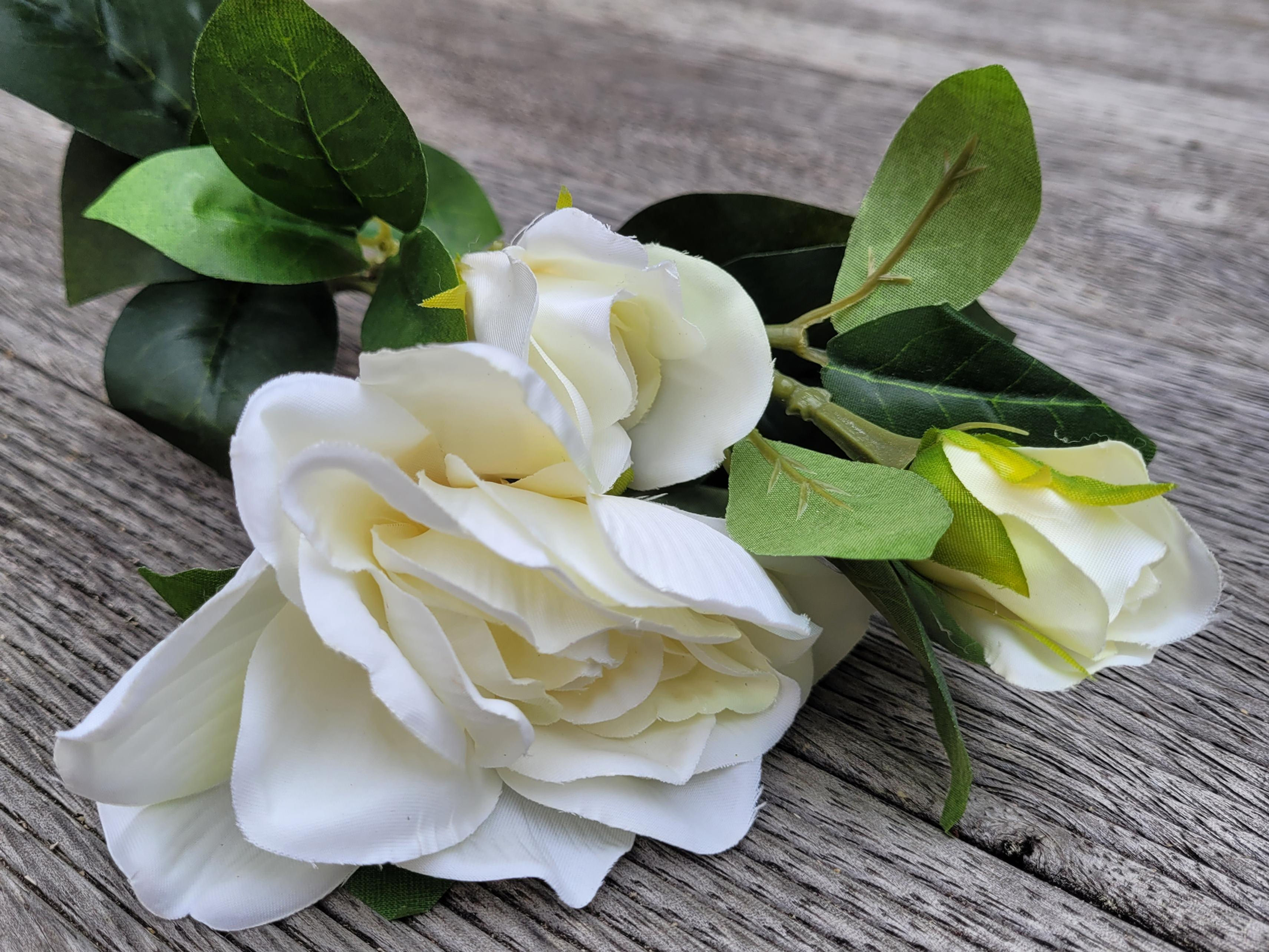Gardenia Bush Cream F183