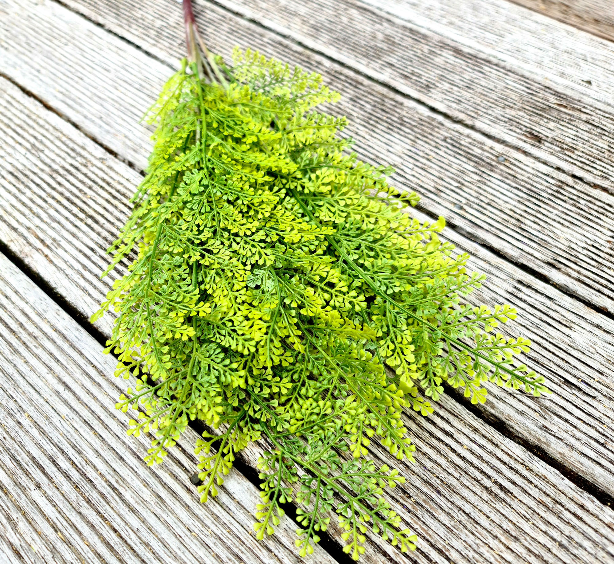 Fern Bush Very Fine Green F164
