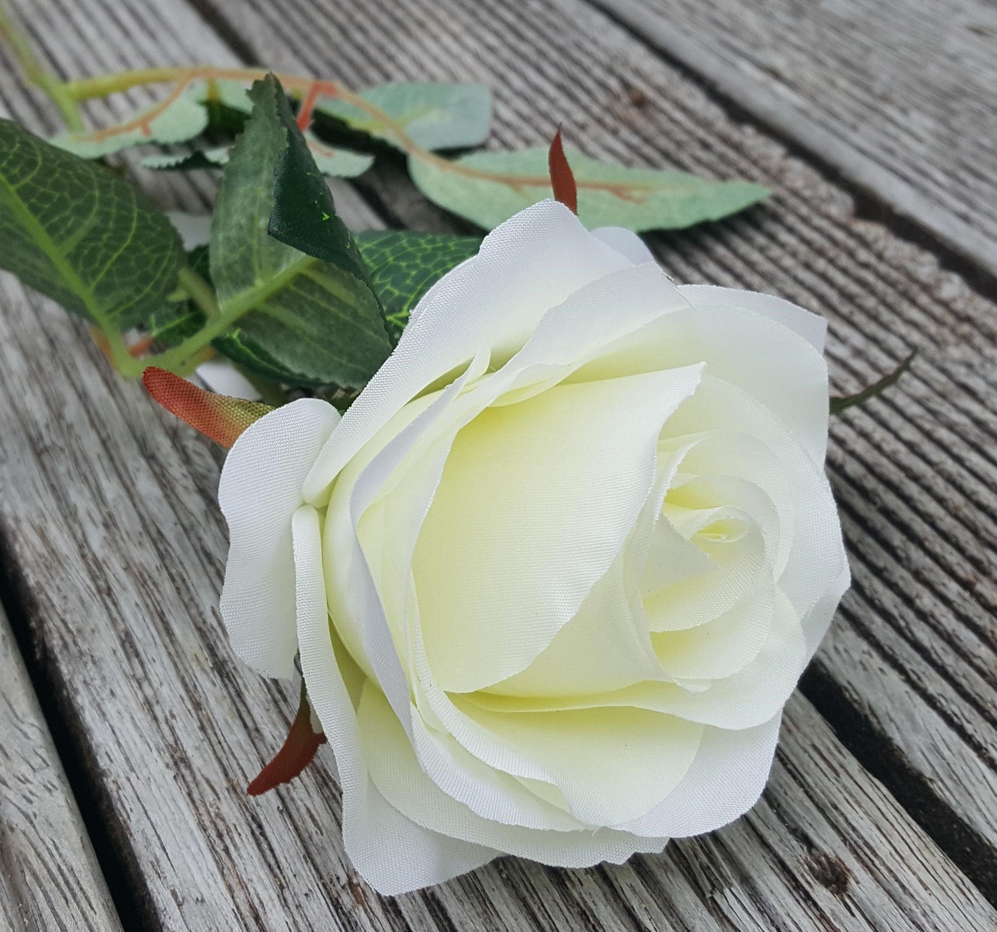 Deluxe White Rose Stem F13