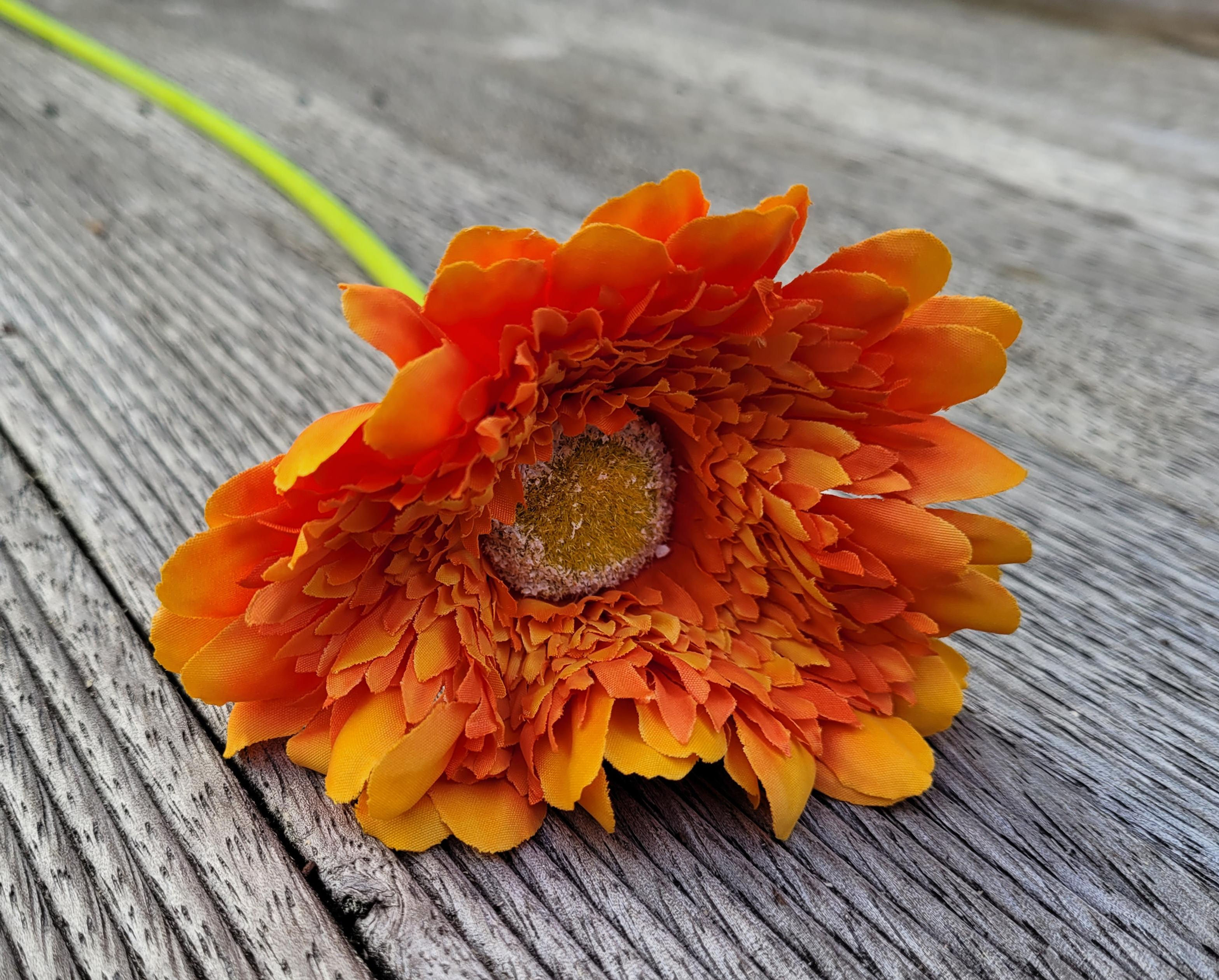 Orange Gerbera Stem F126