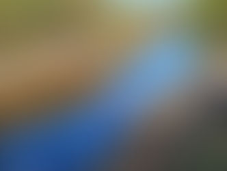 Travaux à l'étang de Langouarde