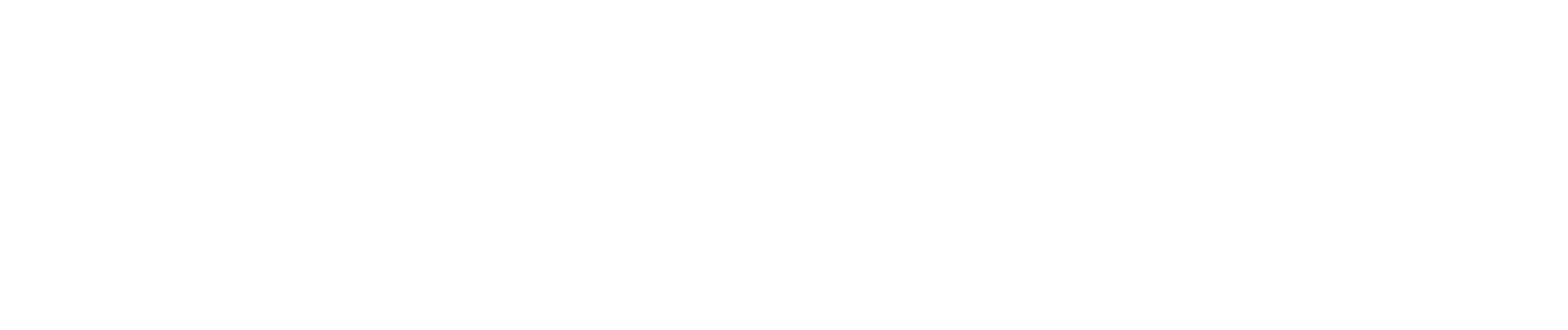 steelhaus doors-01.png