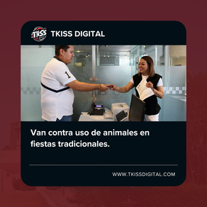 Van contra uso de animales en fiestas tradicionales.