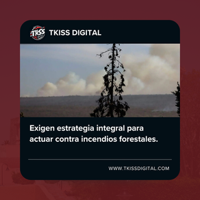 Exigen estrategia integral para actuar contra incendios forestales.