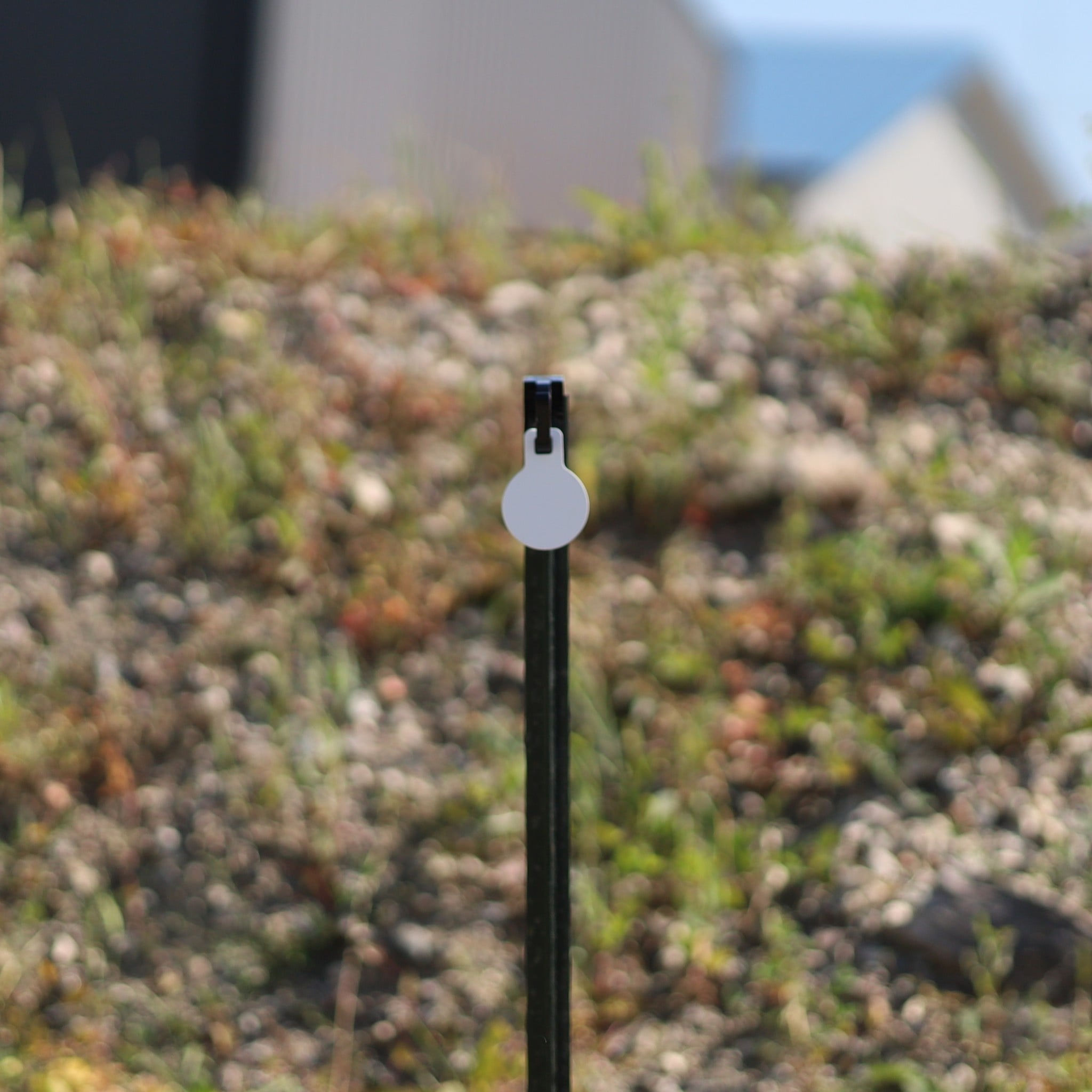 AR500 Steel Rimfire Gong Target, Round, 1/4" Thick, 2.5"