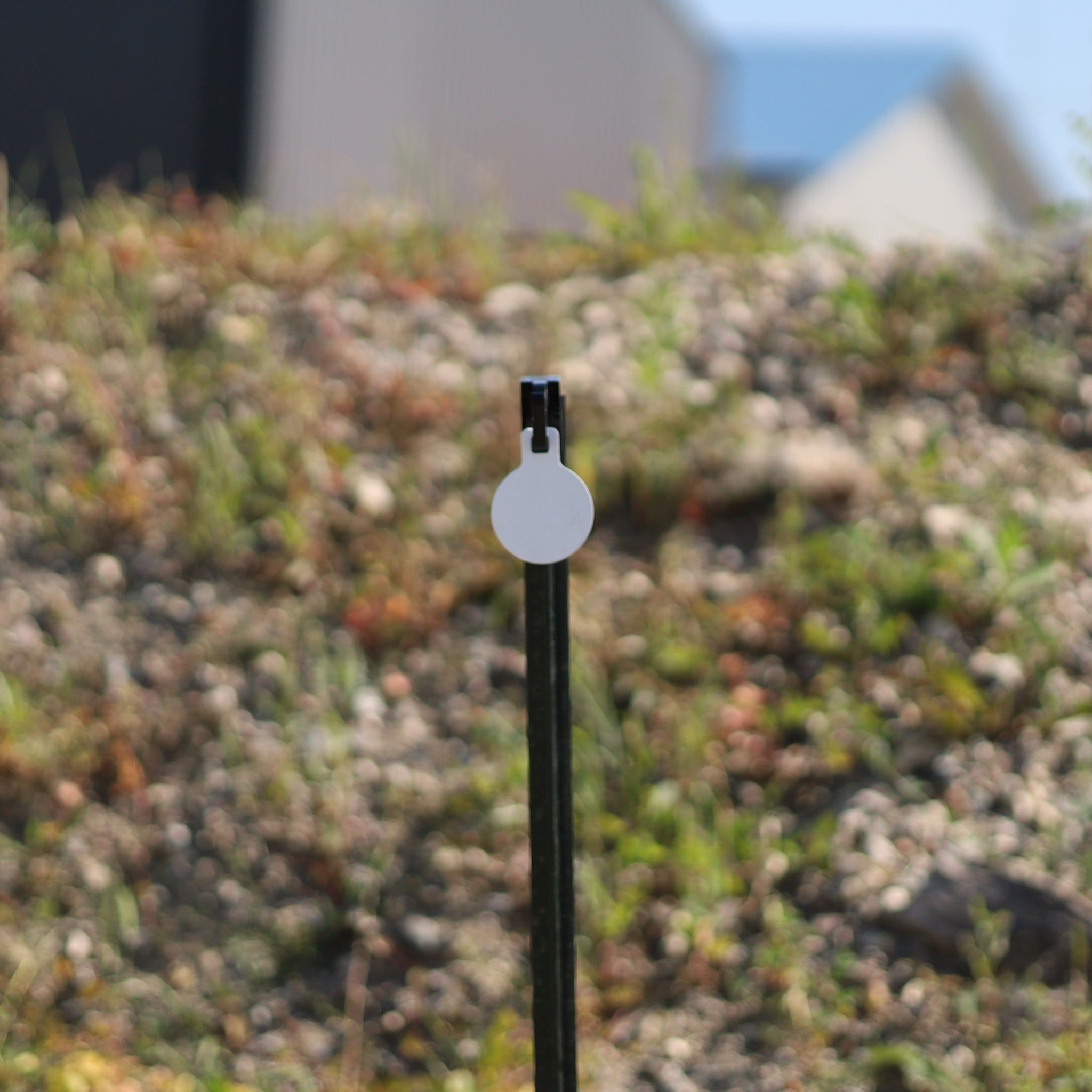 AR500 Steel Rimfire Gong Target, Round, 1/4" Thick, 3"