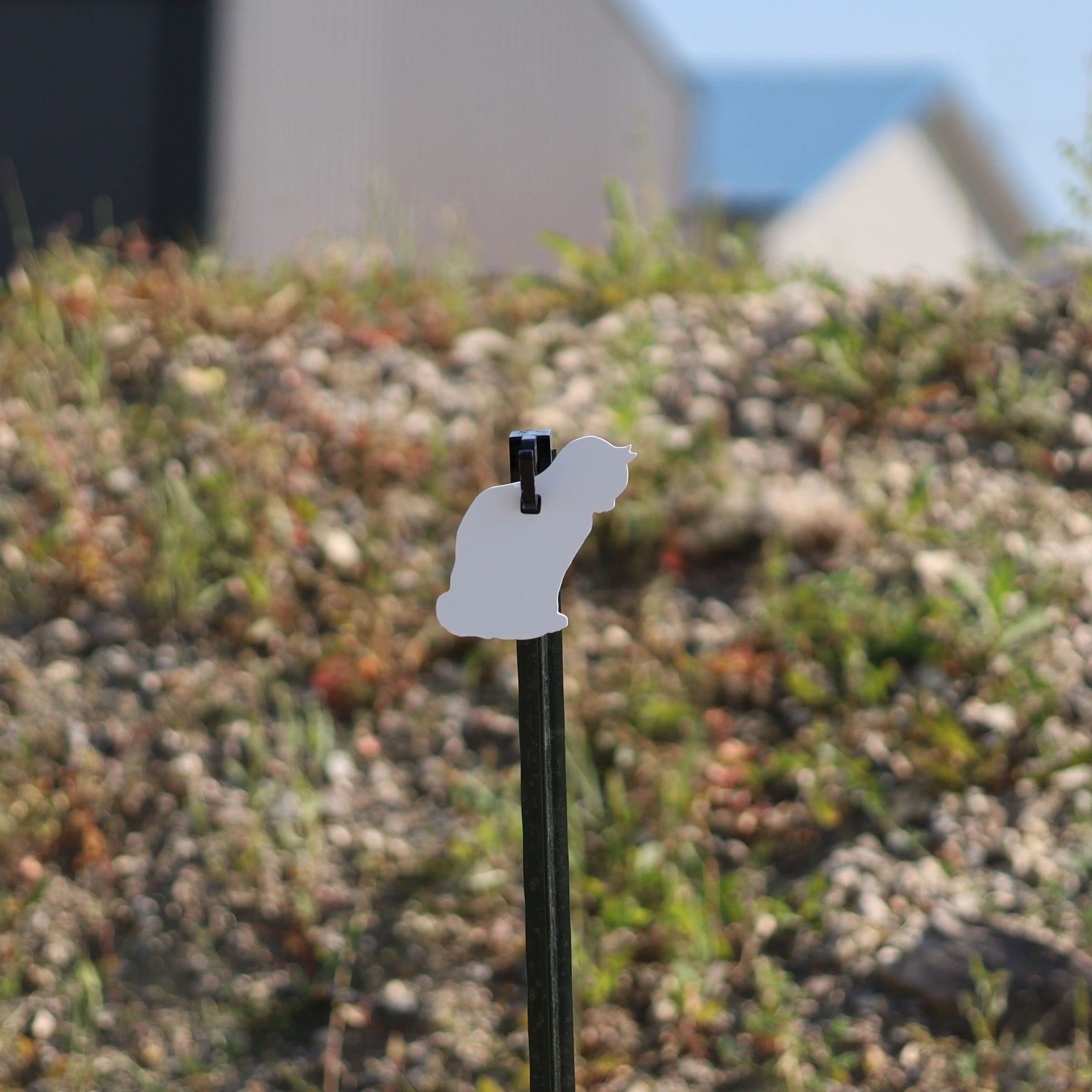 AR500 Steel Rifle Target Half-Size Cat Silhouette 3/8" Thick