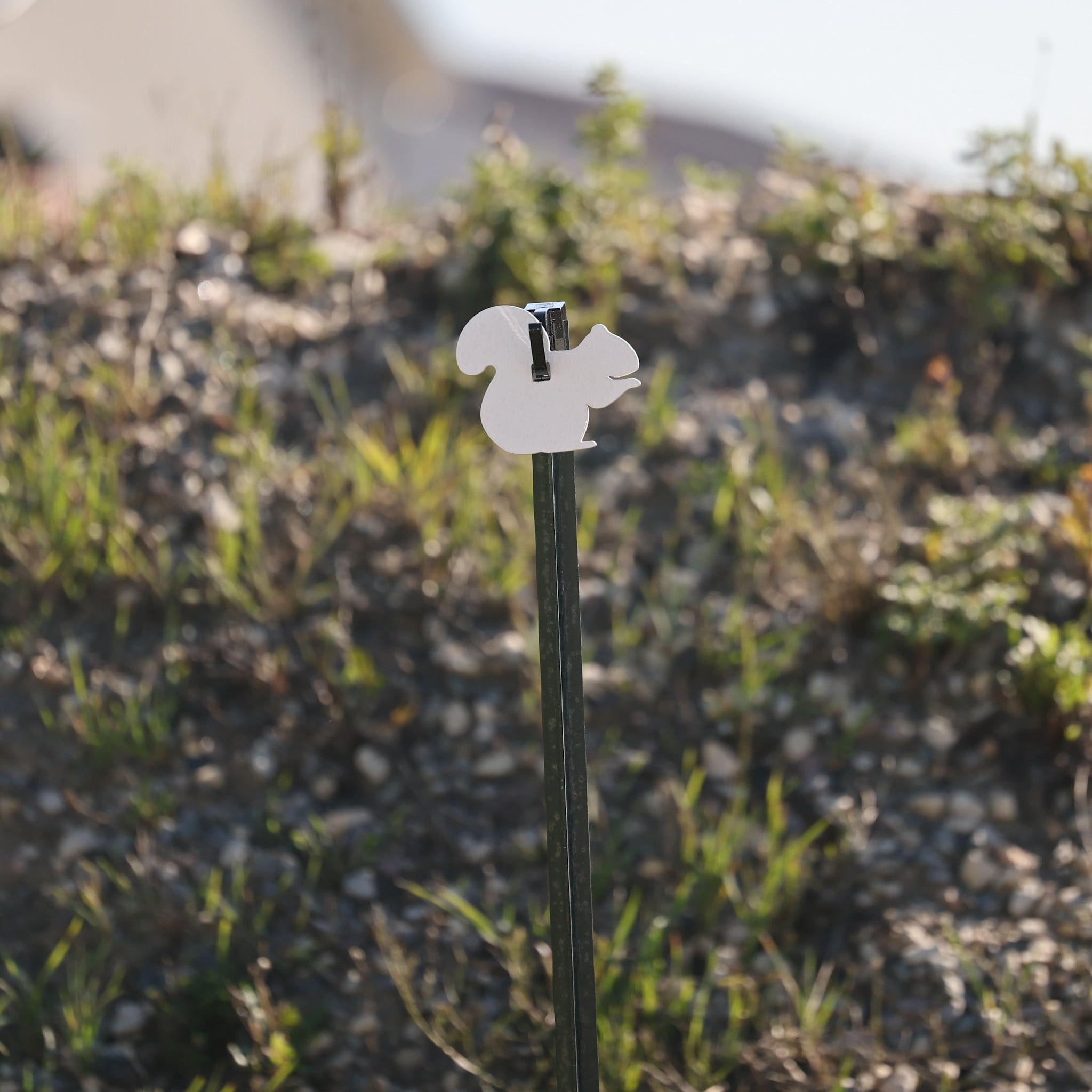 AR500 Steel Rimfire Silhouette Target 1/4" 2/3 Size Squirrel, White