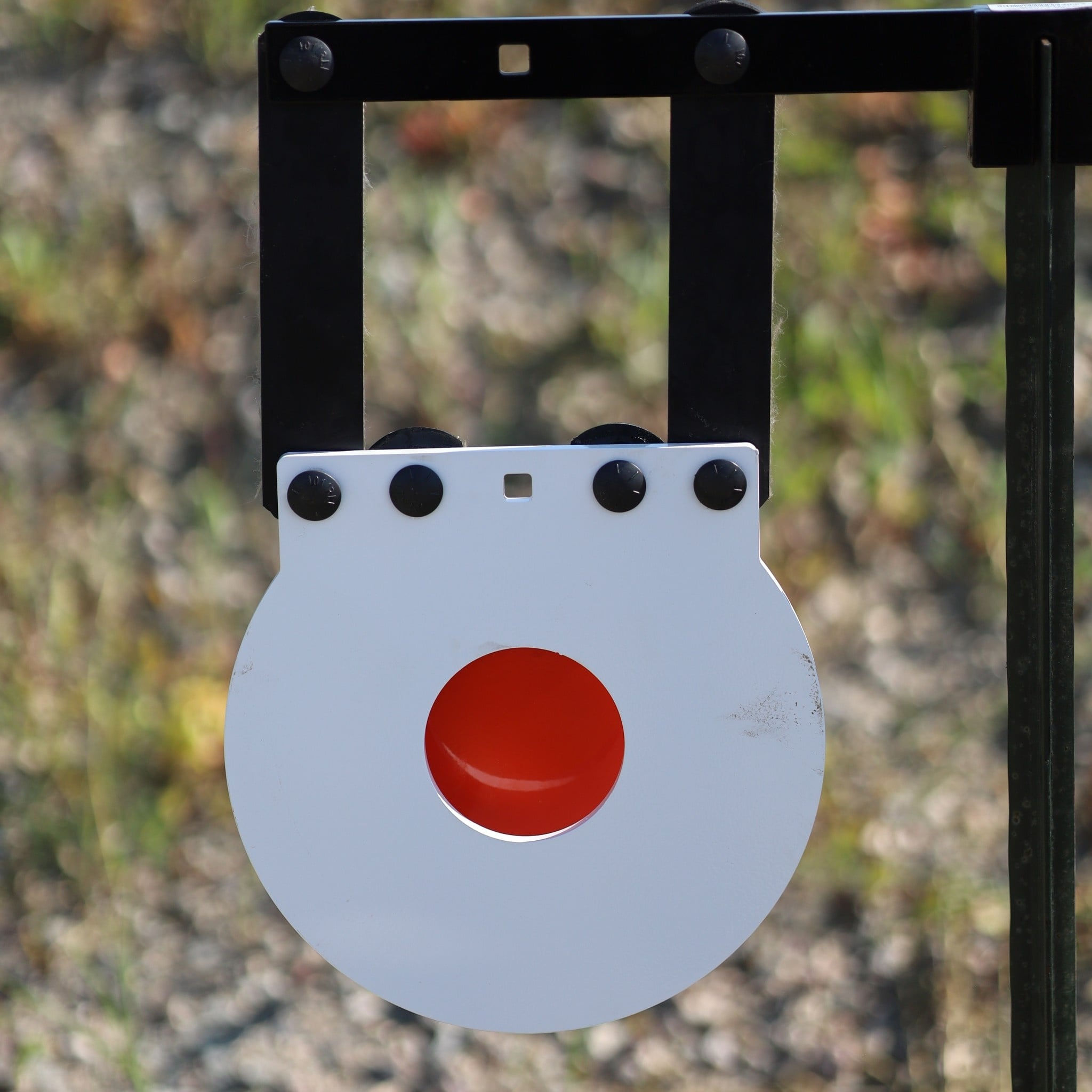 AR500 Steel Bullseye Rifle Target 12" with 4" Bull, 3/8" Thick