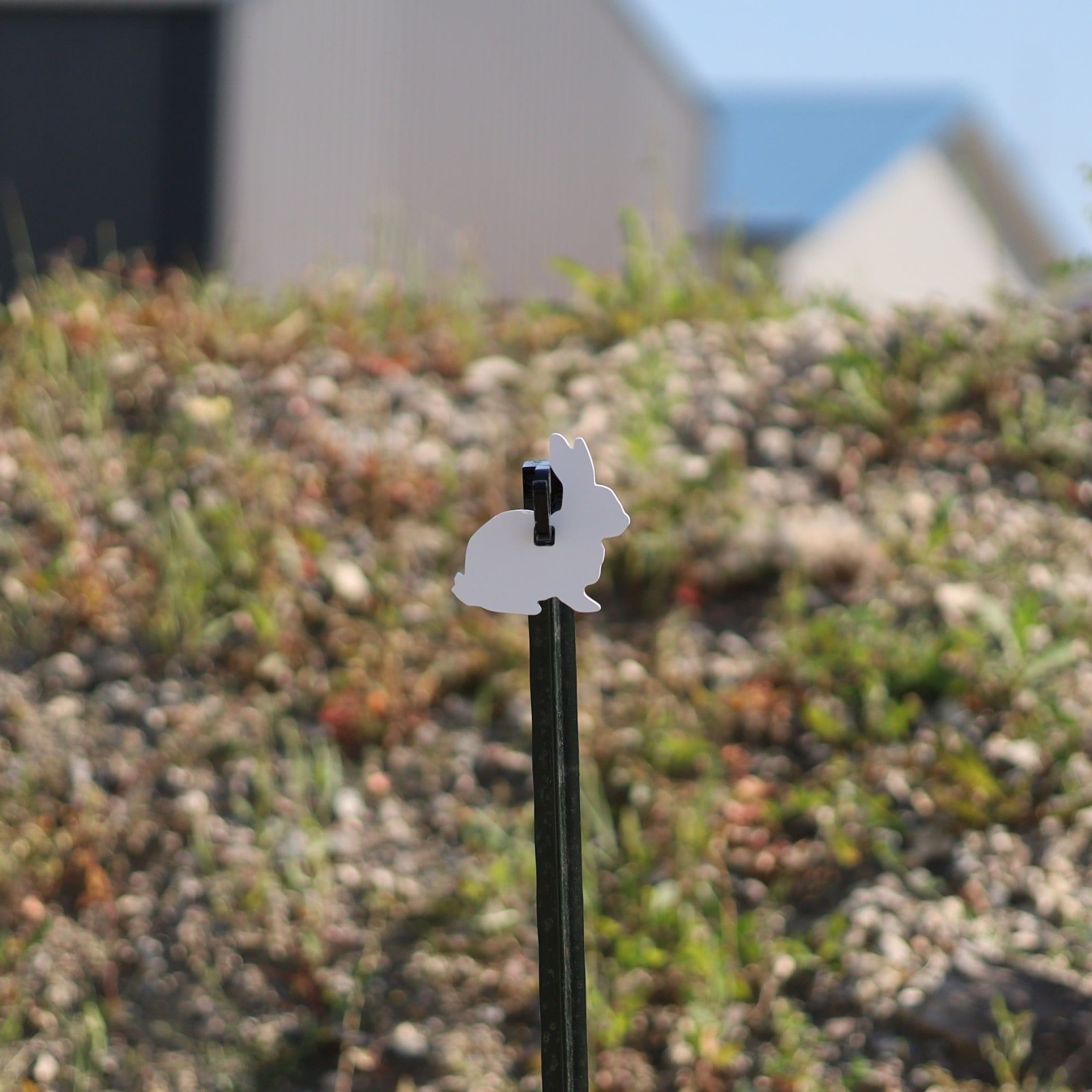 AR500 Steel Rifle Target Silhouette 3/8" Half-Size Bush Bunny, White