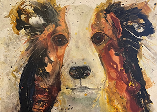 watercolor rendition of sheltie dog