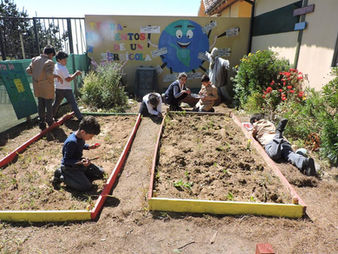 Se Aplica en Todos Nuestros Establecimientos: 
ENCUESTA DE HÁBITOS DE ALIMENTACIÓN 1er PASO PARA UN 